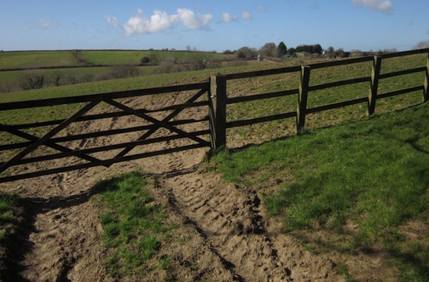 fences Clontarf
