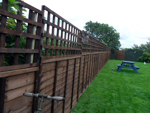 Fencing Forest Lake