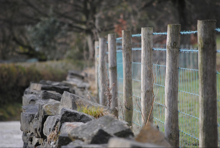 fences Eatons Hill